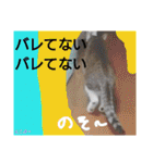 もぐもぐ＆にこぷーもりだくさんBOX（個別スタンプ：17）