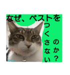 もぐもぐ＆にこぷーもりだくさんBOX（個別スタンプ：18）