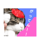 もぐもぐ＆にこぷーもりだくさんBOX（個別スタンプ：19）