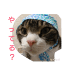 もぐもぐ＆にこぷーもりだくさんBOX（個別スタンプ：22）
