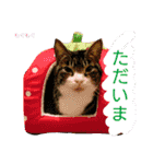 もぐもぐ＆にこぷーもりだくさんBOX（個別スタンプ：38）