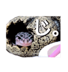 るー。のスタンプ（個別スタンプ：5）