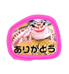 るー。のスタンプ（個別スタンプ：7）