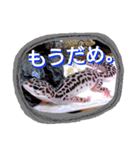 るー。のスタンプ（個別スタンプ：8）