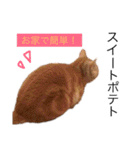 ねろたんスタンプ（個別スタンプ：34）