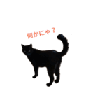 黒猫ぜろたん（個別スタンプ：2）