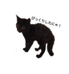 黒猫ぜろたん（個別スタンプ：9）