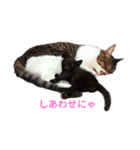 黒猫ぜろたん（個別スタンプ：10）