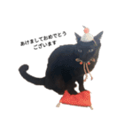 黒猫ぜろたん（個別スタンプ：11）