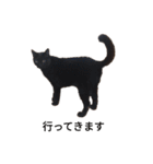 黒猫ぜろたん（個別スタンプ：18）
