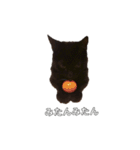 黒猫ぜろたん（個別スタンプ：27）
