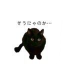 黒猫ぜろたん（個別スタンプ：34）