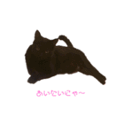 黒猫ぜろたん（個別スタンプ：35）