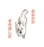 うちのマリン（個別スタンプ：4）