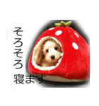 マルックスタンプ（個別スタンプ：4）