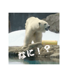 もうだめぽ(動物)（個別スタンプ：2）