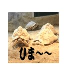 もうだめぽ(動物)（個別スタンプ：4）
