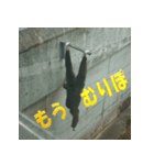もうだめぽ(動物)（個別スタンプ：7）