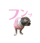 蒼生の日記vol.8（個別スタンプ：1）