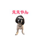 蒼生の日記vol.8（個別スタンプ：6）