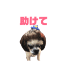蒼生の日記vol.8（個別スタンプ：7）