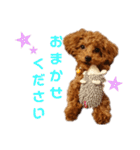 ぷりんちゃん＊（個別スタンプ：4）