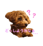 ぷりんちゃん＊（個別スタンプ：6）