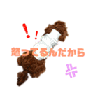 ぷりんちゃん＊（個別スタンプ：9）