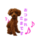 ぷりんちゃん＊（個別スタンプ：11）