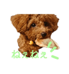 ぷりんちゃん＊（個別スタンプ：14）