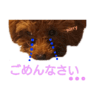 ぷりんちゃん＊（個別スタンプ：15）