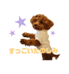 ぷりんちゃん＊（個別スタンプ：16）