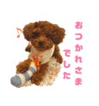 ぷりんちゃん＊（個別スタンプ：19）