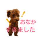 ぷりんちゃん＊（個別スタンプ：22）