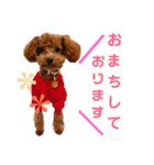ぷりんちゃん＊（個別スタンプ：24）