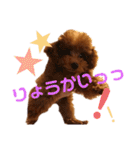 ぷりんちゃん＊（個別スタンプ：25）