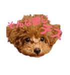 ぷりんちゃん＊（個別スタンプ：26）