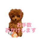 ぷりんちゃん＊（個別スタンプ：30）