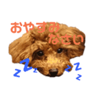 ぷりんちゃん＊（個別スタンプ：32）
