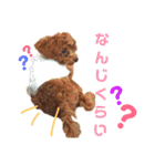 ぷりんちゃん＊（個別スタンプ：34）