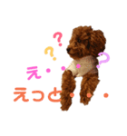 ぷりんちゃん＊（個別スタンプ：37）