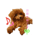 ぷりんちゃん＊（個別スタンプ：39）