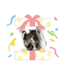 まるとチョコ（個別スタンプ：5）