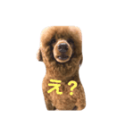 REON...（個別スタンプ：1）