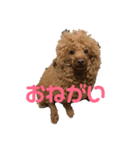REON...（個別スタンプ：4）