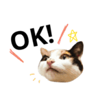 あんずとぽんずとだいず(日常編)（個別スタンプ：8）