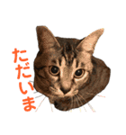 ルーの日常（個別スタンプ：6）