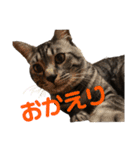 ルーの日常（個別スタンプ：7）