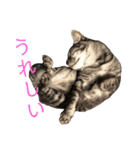 ルーの日常（個別スタンプ：36）