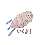 クマムシのテディー（個別スタンプ：1）